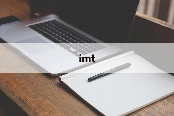 imt：(医学IMT是什么意思啊)