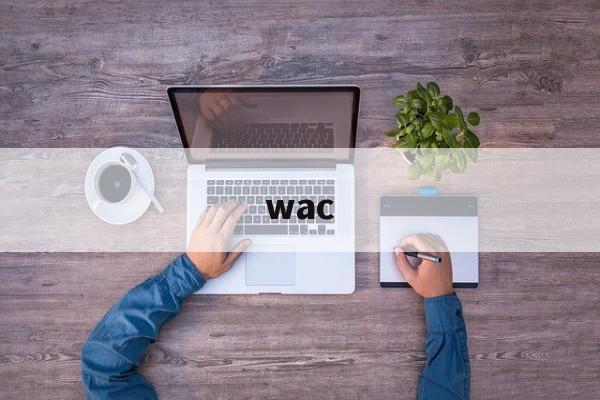 wac：(WAC什么意思中文)