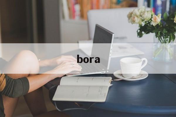 bora：(BORA是什么品牌)