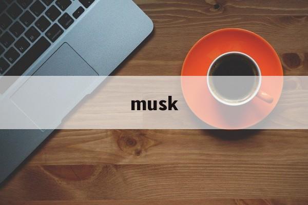 musk：(ElonMusk是谁)