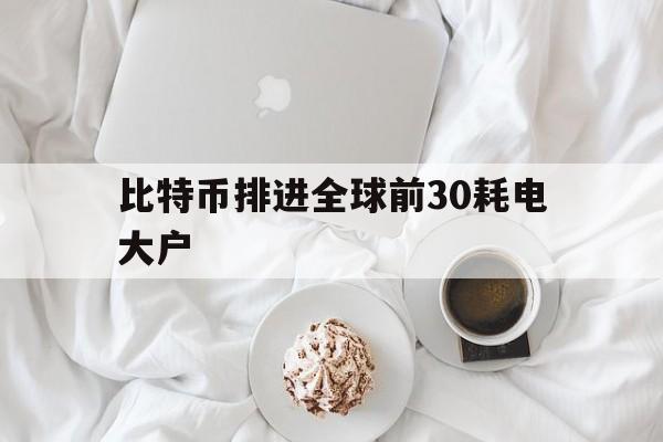 关于比特币排进全球前30耗电大户的信息